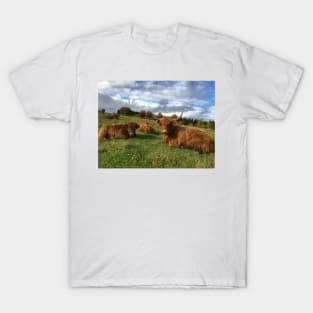 Scottish Highland Cattle Cow and Calf 1558 T-Shirt